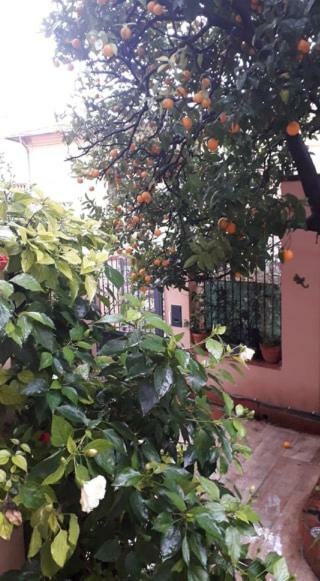 Les Violettes Apartment Menton Exterior foto